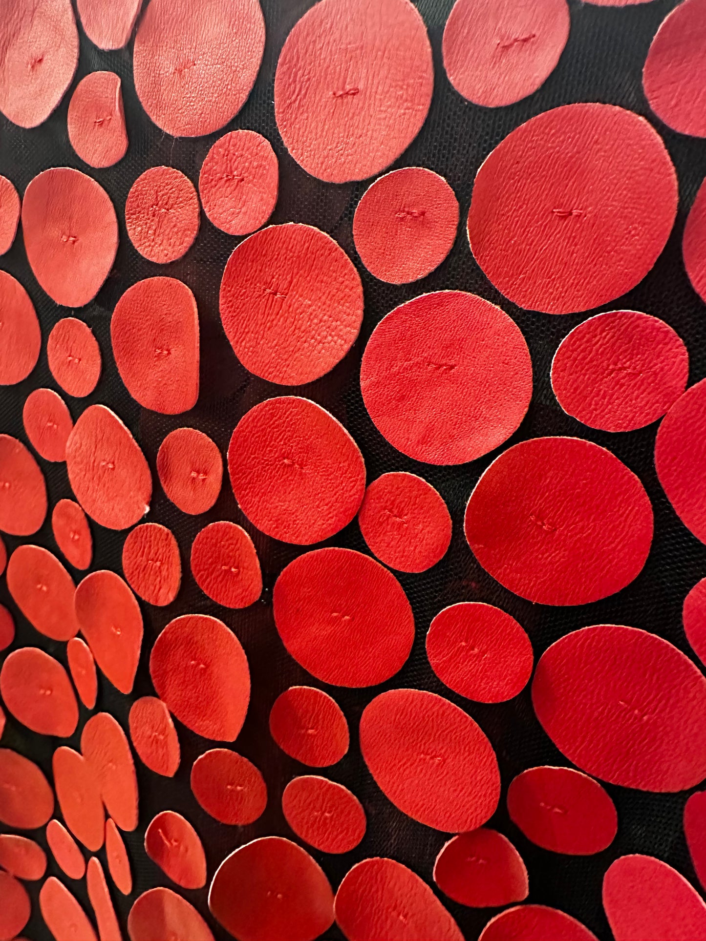 Red Leather Jacket,